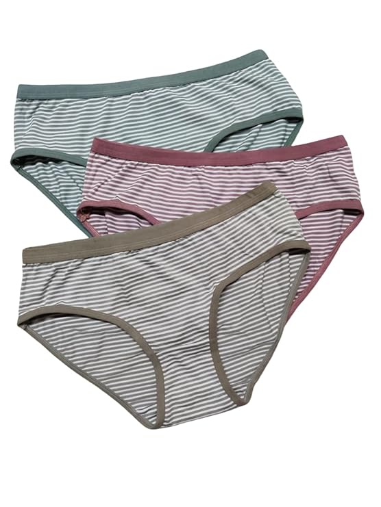 Women Pack of 3 Briefs — Damini